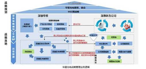 華星光電高級副總裁吳嵐:華星人才的培養思考與實踐I深度專訪